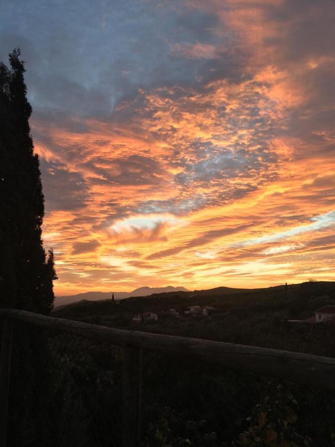 Casa Rural La Higuera Chica Málaga Buitenkant foto